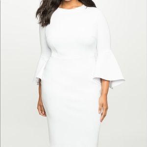 Fitted Flare Sleeved Dress